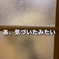 ドアに顔を近づける犬