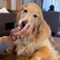 サンちゃんの熱烈歓迎8