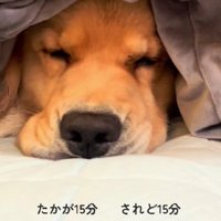 「まだ許してませんけど？」