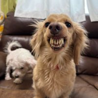 他の子に「可愛い」と言うと激怒