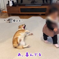赤ちゃんにアピール♡