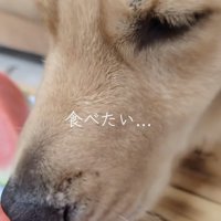 「美味しい匂い…」