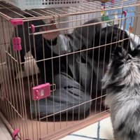 「あれ？出られない…」