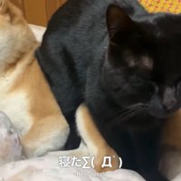 そのまま寝た！？