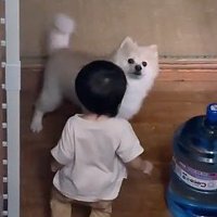 ぽちゃ子ちゃんにバレてる…！