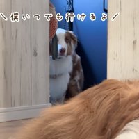 準備万端なガルちゃん