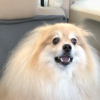 絶望