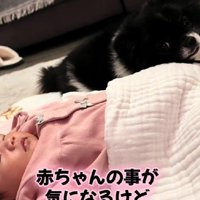 一定の距離を保っているそう