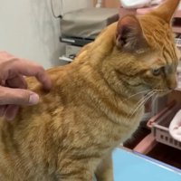 だいず君もお利口さんでした！