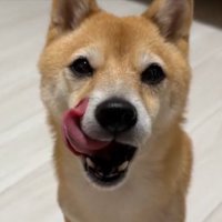 美味