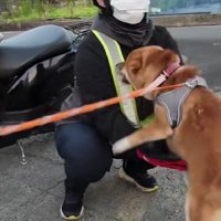 素直な喜びにホッコリ