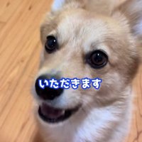 ごほうびが贈られた