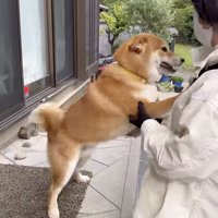 耳からも伝わる愛情