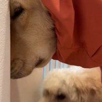 「外行きたくない…」