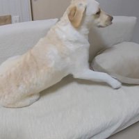 「やばい、置いて行かれるかも…！」