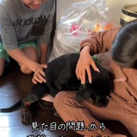 体の問題で家族が決まらなかった…