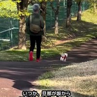 下り坂で全力疾走のラフくん
