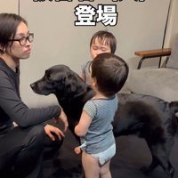 「もう許してあげて」