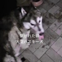 炎天下で放置された