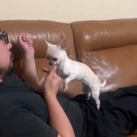 手を差し出すパパ