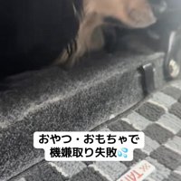プイッ！！