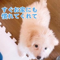 少しずつ慣れてきた