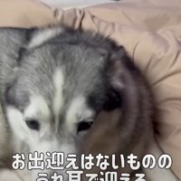 次女が帰ってきたとき