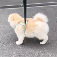 エリーちゃんがやってきたのは…