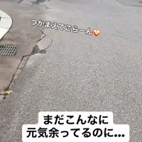 ぶん太くんとパパさんのお散歩8