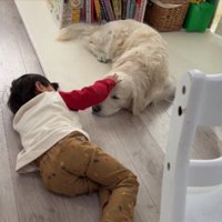 穏やか