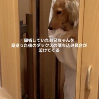 落ち込み中…
