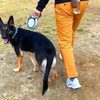 ドッグランに到着