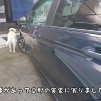 ダッシュで家の中へ