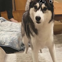 「？」