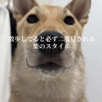 絶対に二度見されちゃう