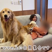 おからちゃんも仲間入り！