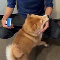 ぽんた君の変化6