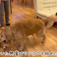 宿に着くとワンプロ開始！！