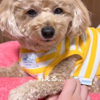 目から光が消えました…