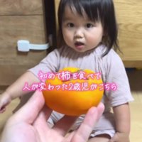 初めて柿を見たみーちゃん
