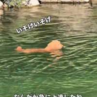 泳ぎが急に上達した