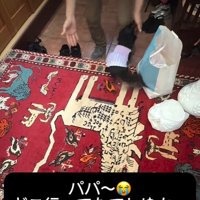 パパを出迎える小型犬
