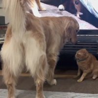 怒られることもあるけど…