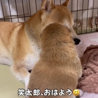 ママと戯れ中♡