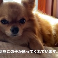 めぐり会えてよかった