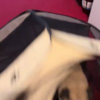 使い方が斬新！！