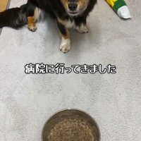全然食べません！