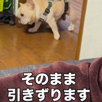 そのままズルズル…