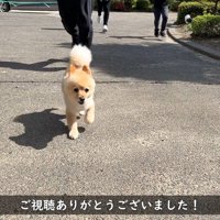 楽しそうに遊ぶ姿にほっこり♪