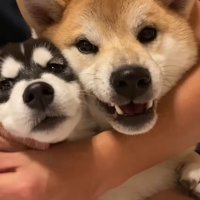幼かった2匹が…